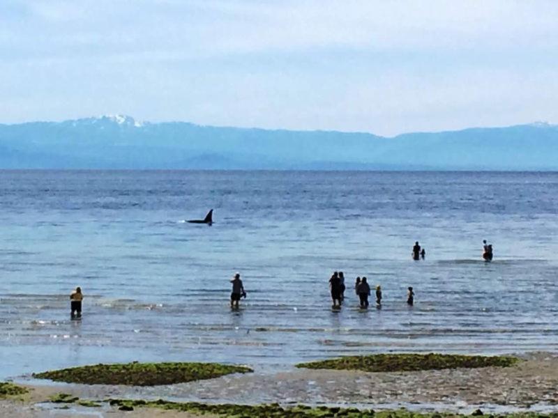 Sunshine Coast Suites Sechelt Bagian luar foto